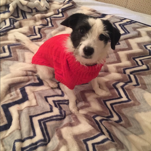 Meet your Posher, Debbie. - Picture 9 of 10